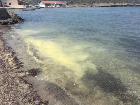 İzmir'de Mercankoy Koyu'nda suyun rengi sarıya büründü