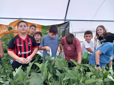 Okulda Çiftlik: Minik Öğrenciler Sebze Hasadı Yaptı