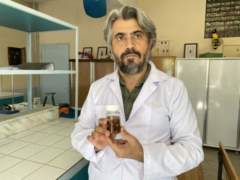 Yeni Bir Akrep Türü Keşfetti, Eşinin Adını Verdi