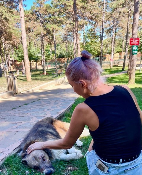 Hedef Tahtası Yapılıp Av Tüfeğiyle Vurulmuştu... Hande Yener Sahiplendiği Köpeği Ziyaret Etti