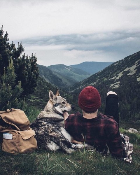 Bir köpeğin 'Beni takip et' dediği seyahat fotoğrafları - Resim: 21