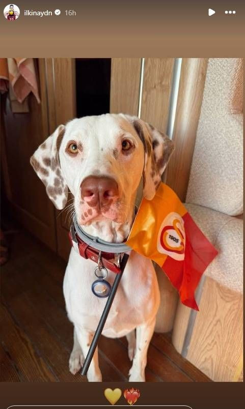 İlkin Aydın Aşka Geldi! Peş Peşe Paylaştı - Resim: 4