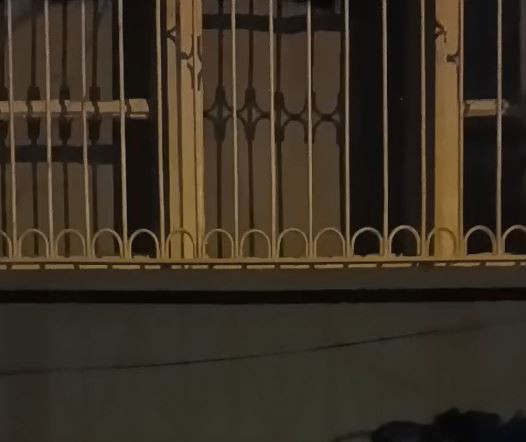 Pet Otele Emanet Ettikleri Dostlarını Kaybeden Çiftten Korkunç İddia! Alf’e Ne Oldu? İhmal mi? Kalp Krizi mi? - Resim : 1