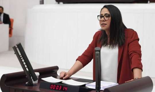 TİP Milletvekili Sera Kadıgil'e 'Cumhurbaşkanına Hakaret' ve 'Tehdit' Soruşturması