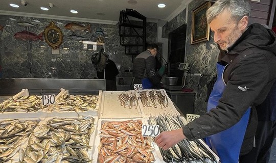 Hamsi Gitti, Mezgit ve İstavrit Geldi: Kilosu 125 Lirayı Buldu
