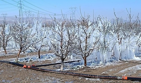 Çiftçi Borçta, Komisyondan Ses Yok! Tarım İçin Alarm Zilleri Çalıyor