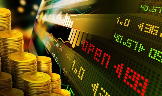 Ne Altın Ne Dolar Ne de Mevduat! Yatırımcısı Köşeyi Döndü