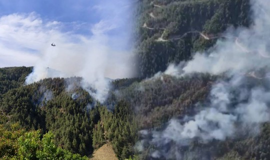 Kahramanmaraş'ta Orman Yangını! Alevler 3 Saatte Kontrol Altına Alındı
