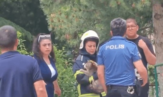 Yangında Mahsur Kalan Kedinin İmdadına İtfaiye Ekipleri Koştu