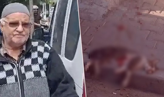Kediyi Tüfekle Katletmişti! İtirazlar Sonrası Tutuklandı