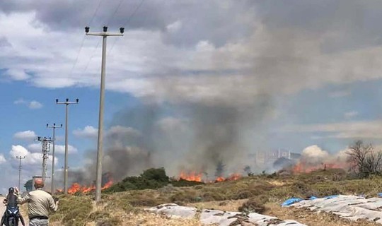 Çanakkale'de Otluk Yangını Korkuttu