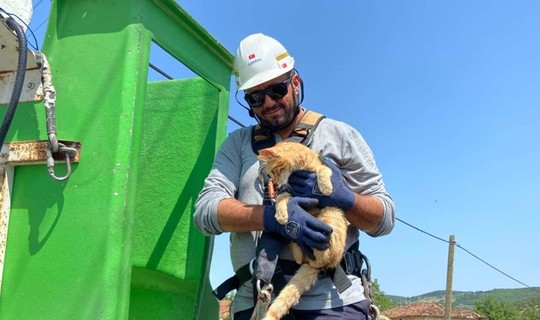 Elektrik Direğinde Mahsur Kalan Kedi Kurtarıldı
