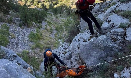 Emekli Polisin Feci Ölümü! Ihlamur Toplarken Can Verdi