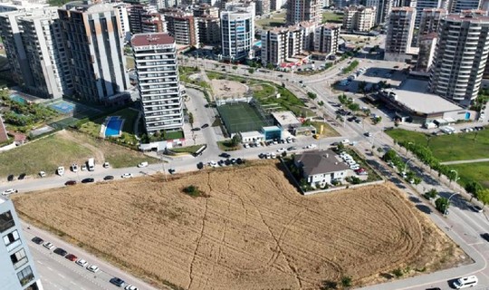 Milyon Dolarlık Gökdelenlerin Ortasında Hasat Başladı! Görenler Gözlerine İnanamıyor, Dönüp Bir Daha Bakıyor