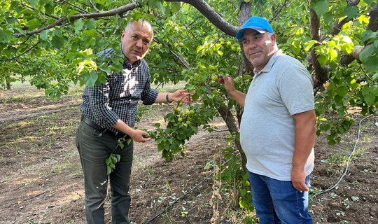 CHP’li Özcan Aygun Açıkladı! Ispartalı Çiftçiden Zirai Dona Dikkat Çeken Çözüm