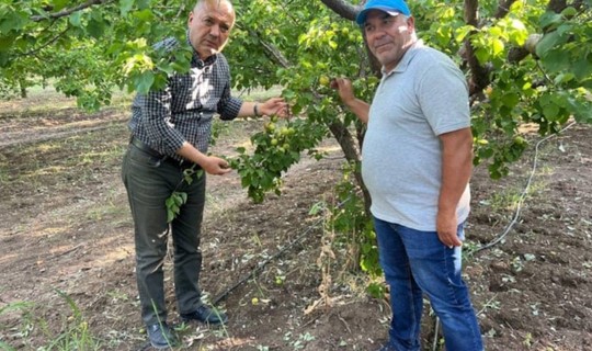 Eksi 11 Derecede 2 Milyonluk Mahsulünü Bu Basit Yöntemle Kurtardı