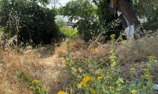 Avcılar’da Kayıp Olarak Aranan Kişi Otluk Alanda Ölü Bulundu