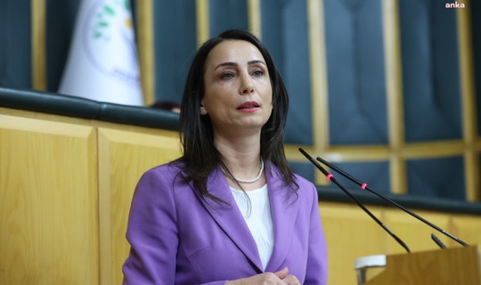 Tülay Hatimoğulları'ndan Orman Yangınları Tepkisi