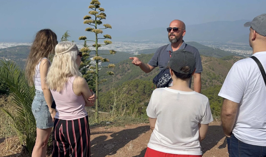 30 Yıl Boyunca Kaktüs Sandı, Gerçek Ortaya Çıkınca Şoke Oldu: Bahçesi Turist Akınına Uğruyor