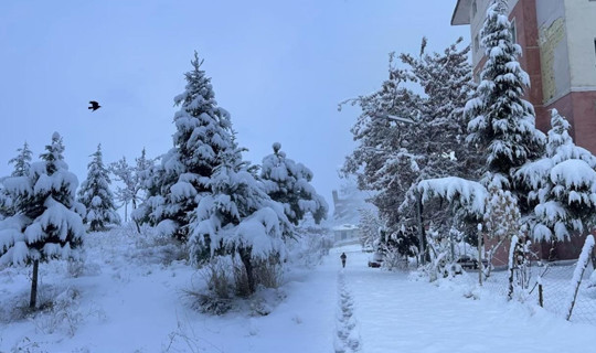 Van’da Kar Alarmı: Ulaşım Aksadı, Eğitim Durdu