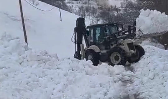 Van’da Kar Temizliği Sırasında Çığ Kabusu! Saniyelerle Kurtuldular