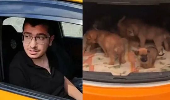 Hayvan Katili Doktora Ödül Gibi Ceza