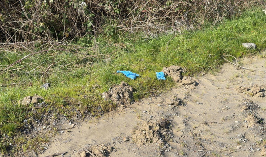 İstanbul'da Vahşet! Kayıp Olarak Aranıyordu, Çinli İş İnsanı Toprağa Gömülü Bulundu