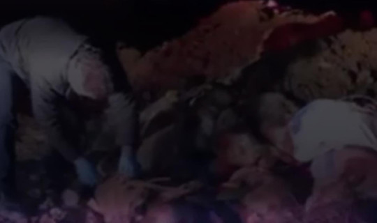 Edremit'te Hayvan Katliamı: Çöplükte Onlarca Köpeğin Cansız Bedeni Bulundu