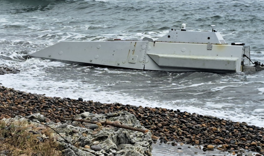 Ordu Kıyılarında Büyük Alarm! Vatandaşlar Fark Etti, İmha Edilecek