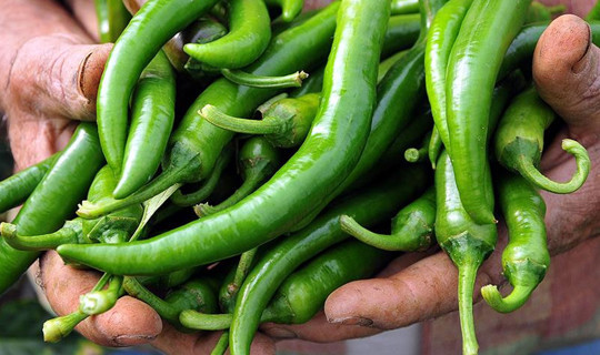 Bakanlıktan Biber Fiyatlarına Yakın Markaj: 1,8 Milyon Lira Ceza Kesildi