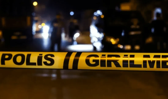 Görenler Dehşete Kapıldı! Diyarbakır'da Başı Olmayan...