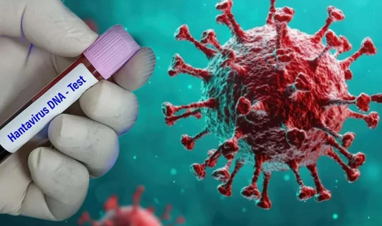 Hantavirüs Korkusu Büyüyor: Bir Ülkeye Daha Sıçradı! Dünya Alarm Durumuna Geçti