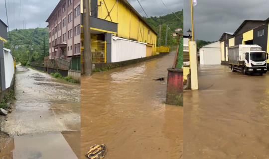 Karadeniz’de Sağanak Alarmı: Rize’de Menfezler Taştı, Çay Fabrikasını Su Bastı