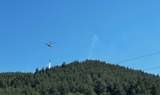 Manisa'da Orman Yangını