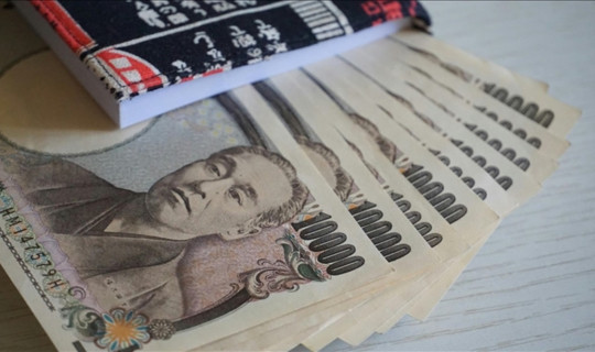 Japonya Merkez Bankası Faizi 30 Yılın Zirvesine Çıkardı