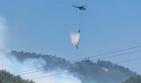 Manisa'da Orman Yangını