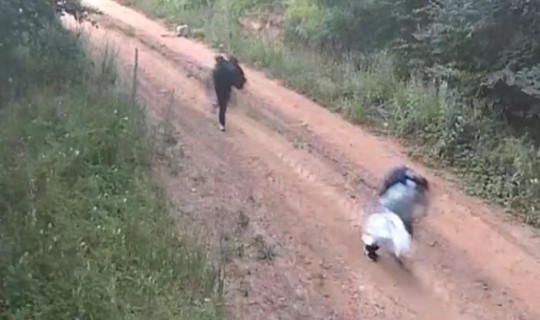 Jandarmadan Fotokapan Operasyonu: Yüzlerce Kişi Yakalandı