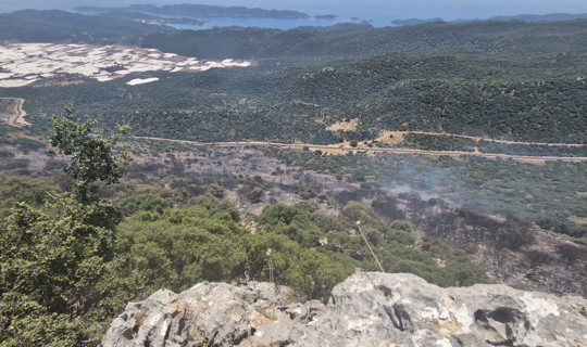 Alevlere Karşı Dev Hava Filosu: Antalya'da Korkutan Yangın Söndürüldü