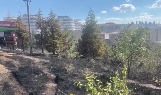 ODTÜ Ormanı'nda Çıkan Yangın Söndürüldü