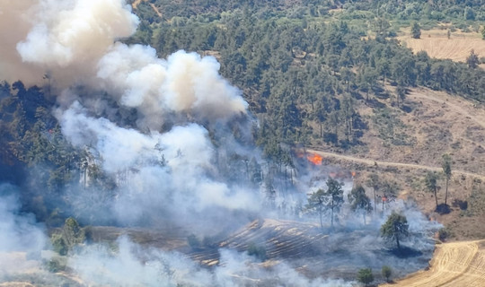 Bursa'da Çıkan Yangın Balıkesir'e Sıçradı