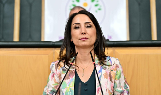 DEM Parti'den Çerçeve Yasa Çağrısı, 'Süreç Uzatılmamalı'