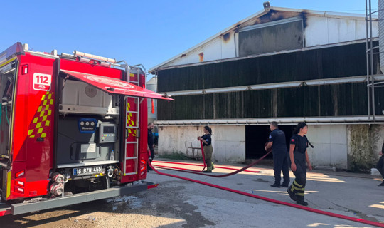 Bursa'da Katliam Gibi Çiftlik Yangını: 12 Bin Tavuk Can Verdi