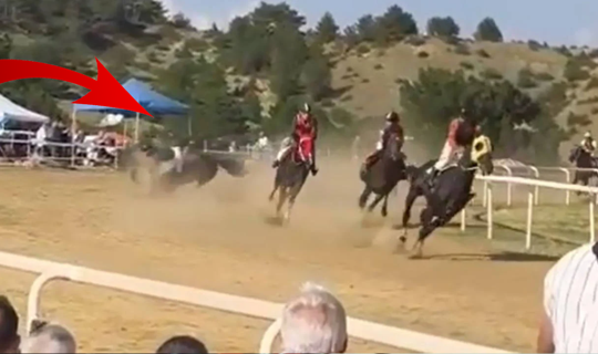 At Yarışında Korkunç Kaza: 2 At Öldü, Bir Jokey Yaralandı