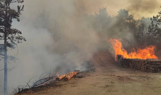 Bolu’da Çıkan Orman Yangını Kontrol Altına Alındı