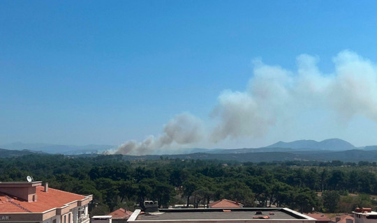Çanakkale'de Zirai Alanda Çıkan Yangın Kontrol Altına Alındı