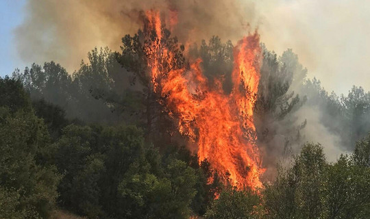 Kazdağları Yangınında Flaş Gelişme, Cezaevine Gönderildi