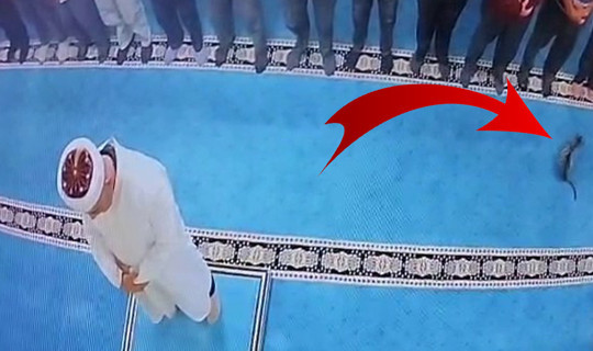 Tepkiler Sonuç Verdi! Erzurum'daki Camide Kediyi Tekmeleyerek Havaya Fırlatan Cani Kelepçelendi