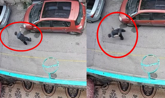 Bulun Bu Caniyi! Kediyi Kafasından Tutup Betona Çarptı