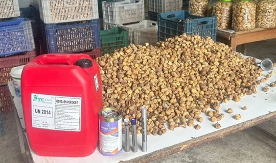 Soframıza Gelecekti! 3 Ton İncirde Ölümcül Tuzak