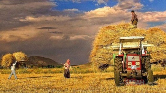 İşte 17 yıllık AKP iktidarının tarımı çökertmesinin tablosu